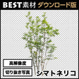 bestsozai0011