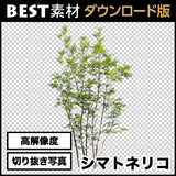 bestsozai0011
