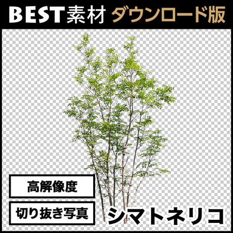 bestsozai0011