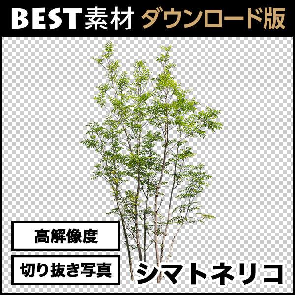 bestsozai0011