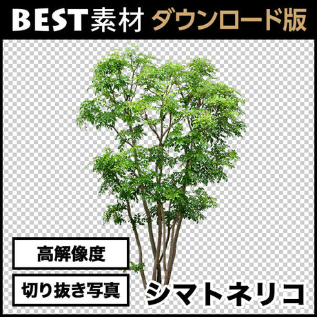 bestsozai0012