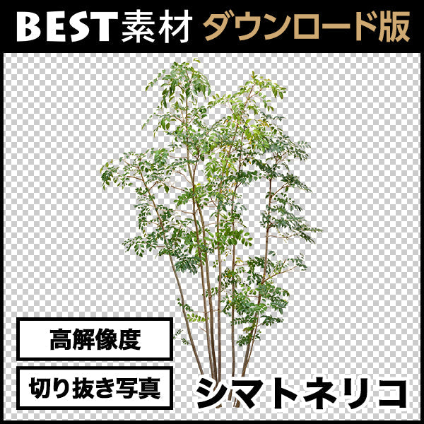 bestsozai0013
