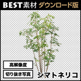 bestsozai0013