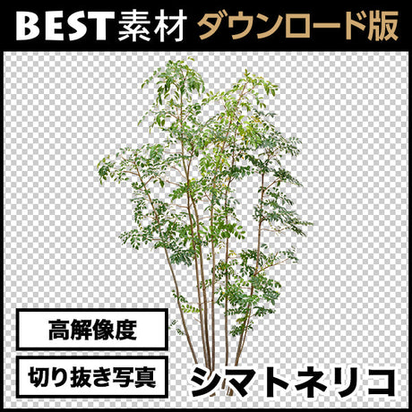 bestsozai0013