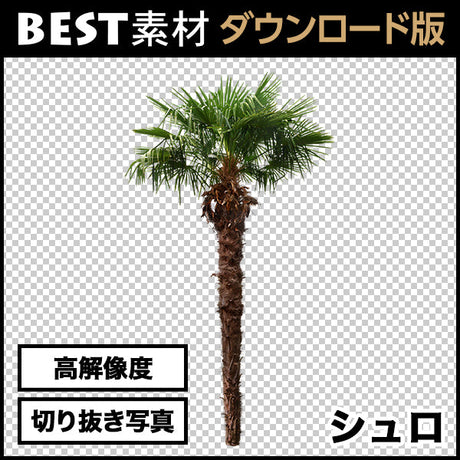 bestsozai0014
