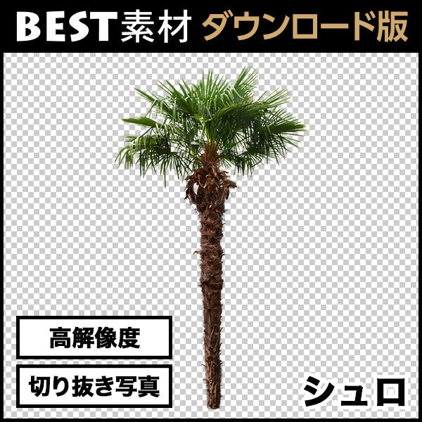 bestsozai0014