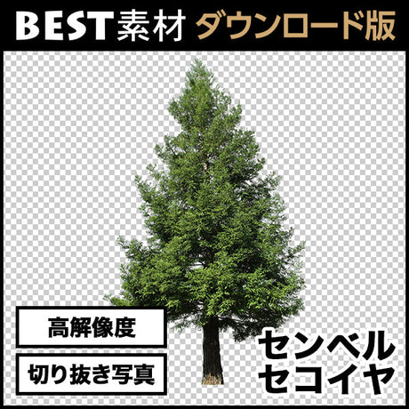 bestsozai0016