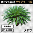 bestsozai0017