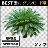 bestsozai0017