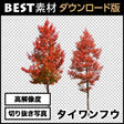 bestsozai0018