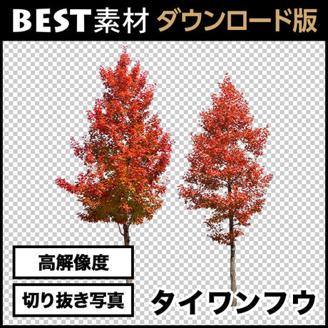 bestsozai0018