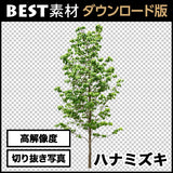 bestsozai0019