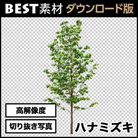 bestsozai0019