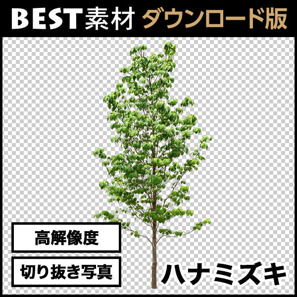 bestsozai0019