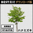 bestsozai0020