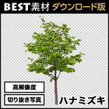 bestsozai0020