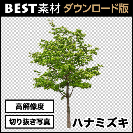 bestsozai0020