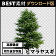 bestsozai0022