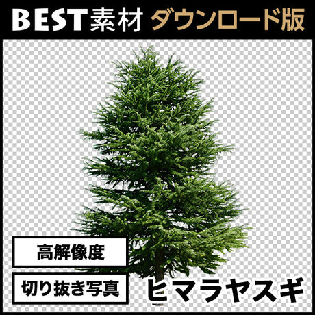 bestsozai0022