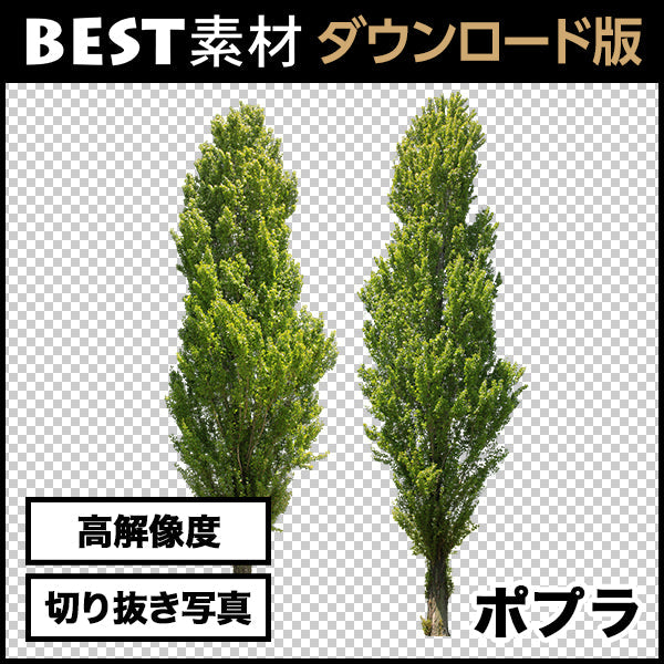 bestsozai0023