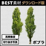 bestsozai0023