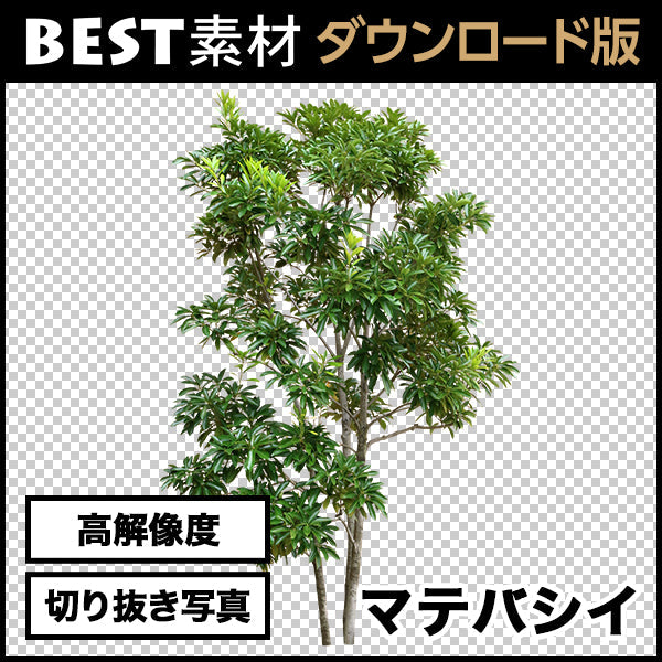 bestsozai0024