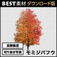 bestsozai0026