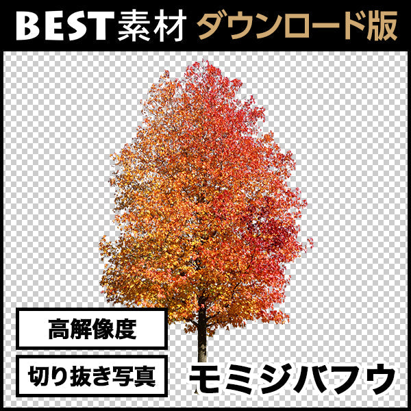 bestsozai0026
