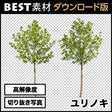 bestsozai0027