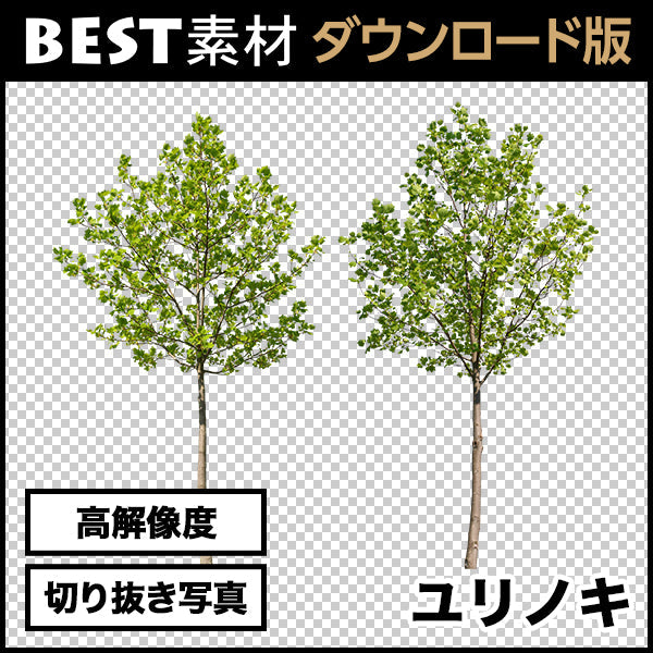 bestsozai0027