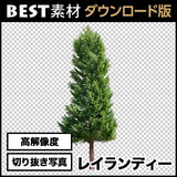 bestsozai0028