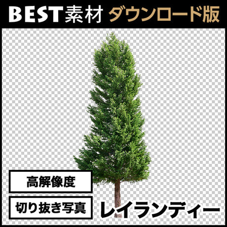 bestsozai0028