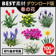 bestsozai0030