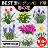 bestsozai0030