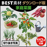 bestsozai0032