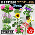 bestsozai0034