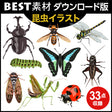 bestsozai0042