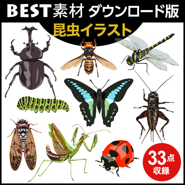 bestsozai0042