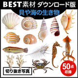 bestsozai0041