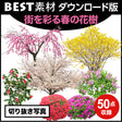 bestsozai0040