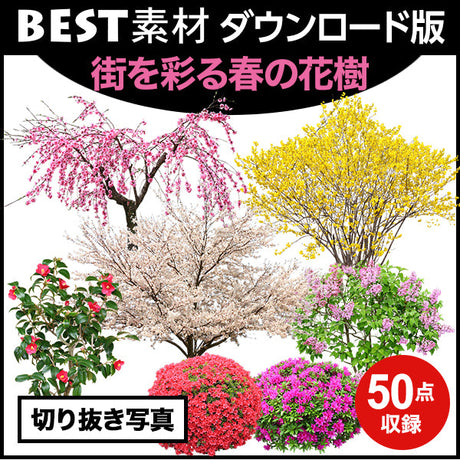 bestsozai0040