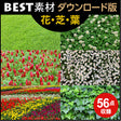 bestsozai0037
