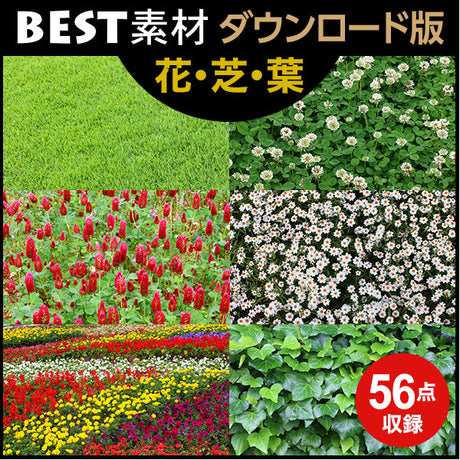 bestsozai0037