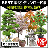 bestsozai0043