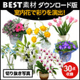bestsozai0044
