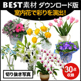 bestsozai0044