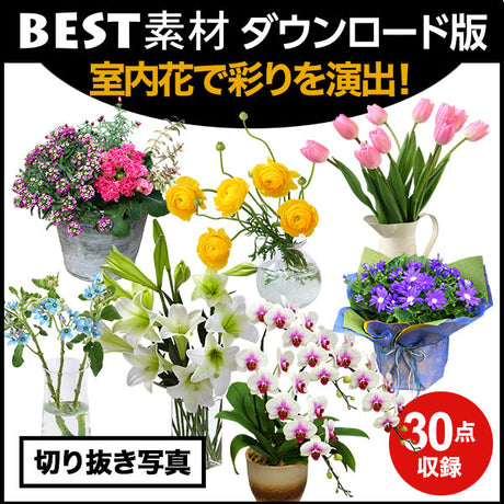 bestsozai0044