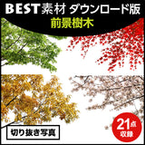 bestsozai0047