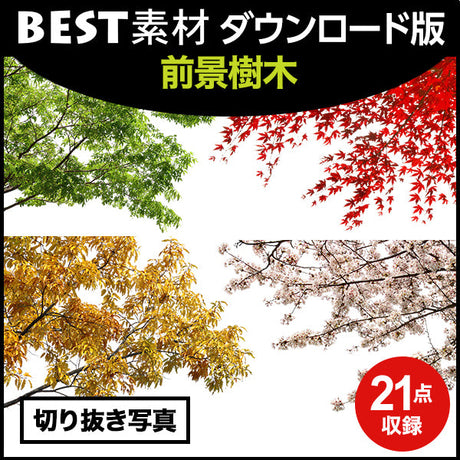 bestsozai0047