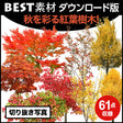 bestsozai0048